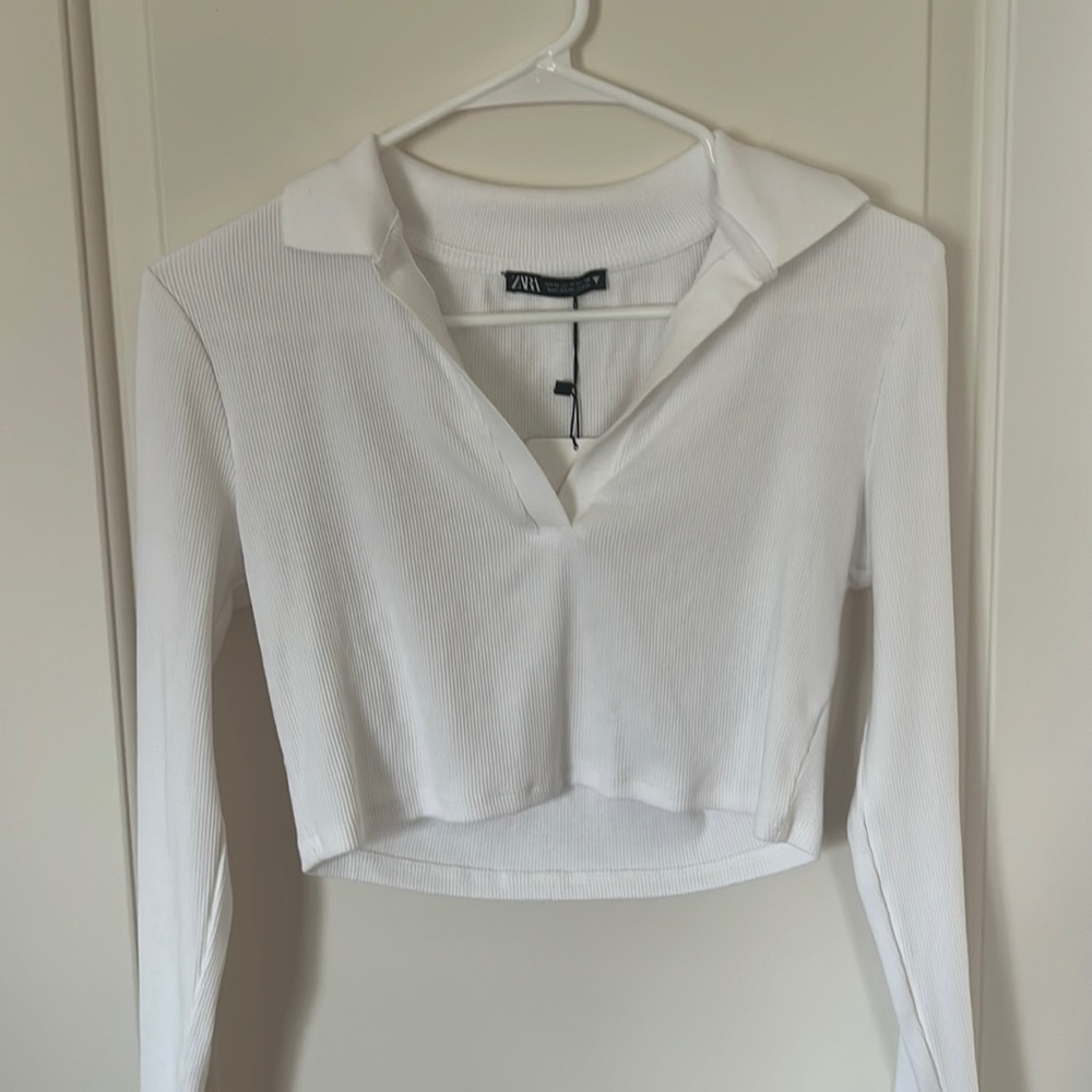 Zara White Collard Crop Tee. BRAND NEW WITH TAGS